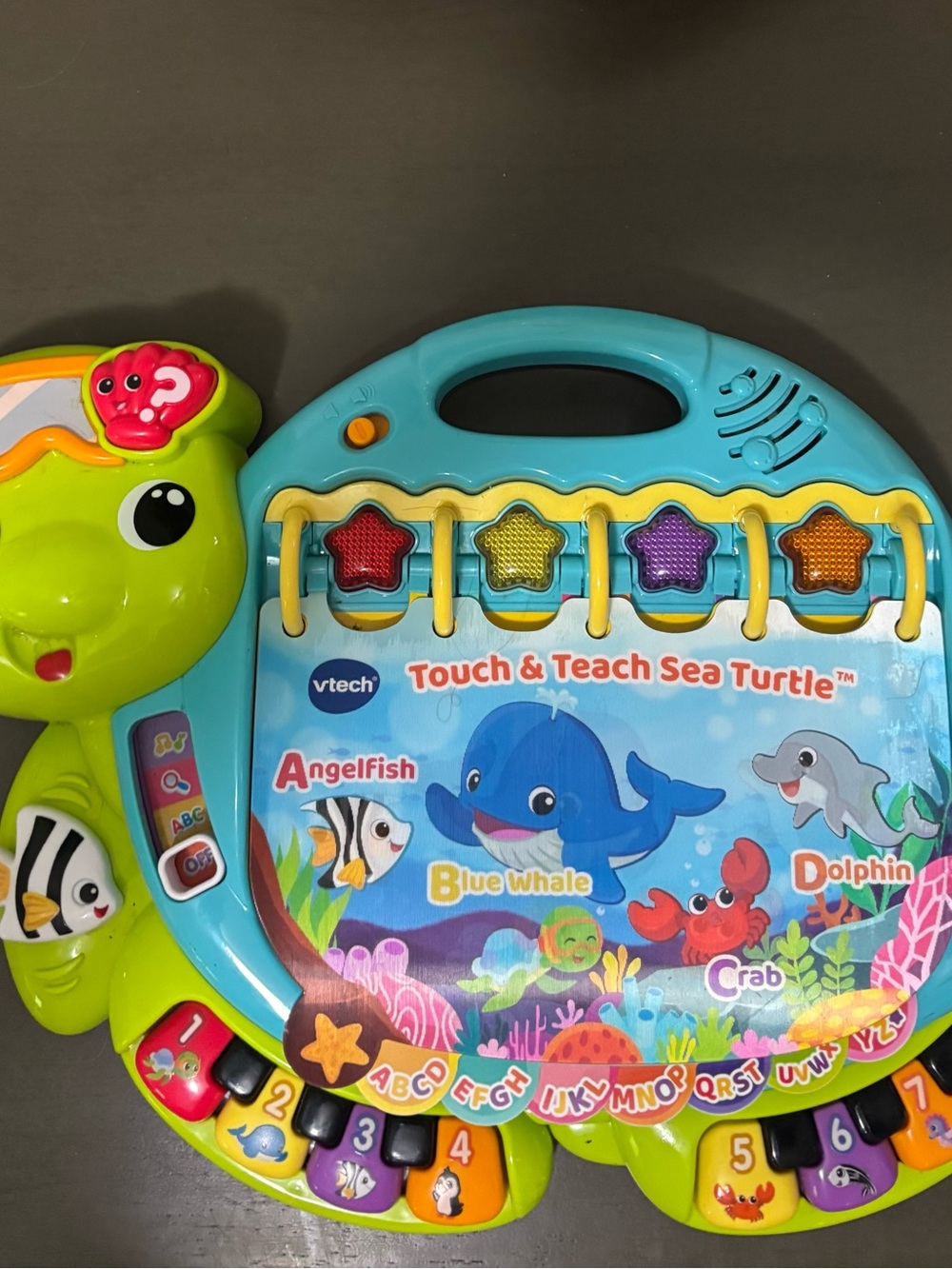 Touch & Teach Sea Turtle™ - Blue and Green Interactive Learning Toy